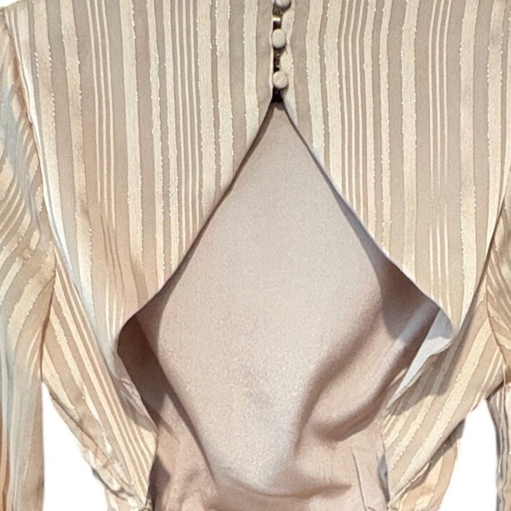 HYFVE Striped Metallic Crop Tie Open Back Blouse Shirt Women's Size Small - Picture 9 of 9